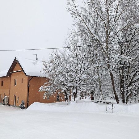 Apartments Nad Rybniky Horní Planá Buitenkant foto
