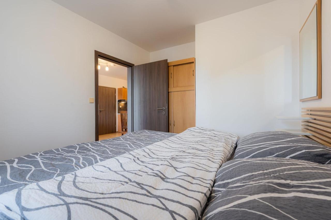 Apartments Nad Rybniky Horní Planá Buitenkant foto