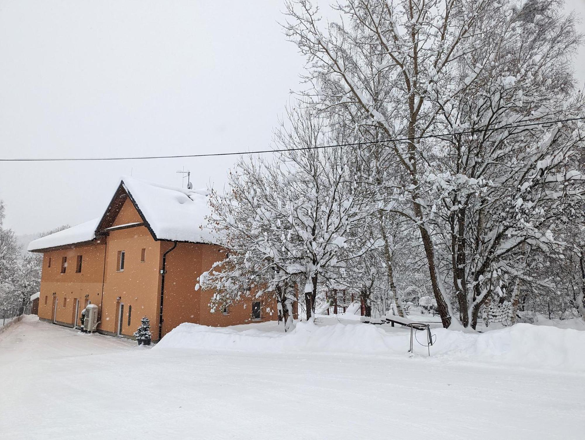Apartments Nad Rybniky Horní Planá Buitenkant foto